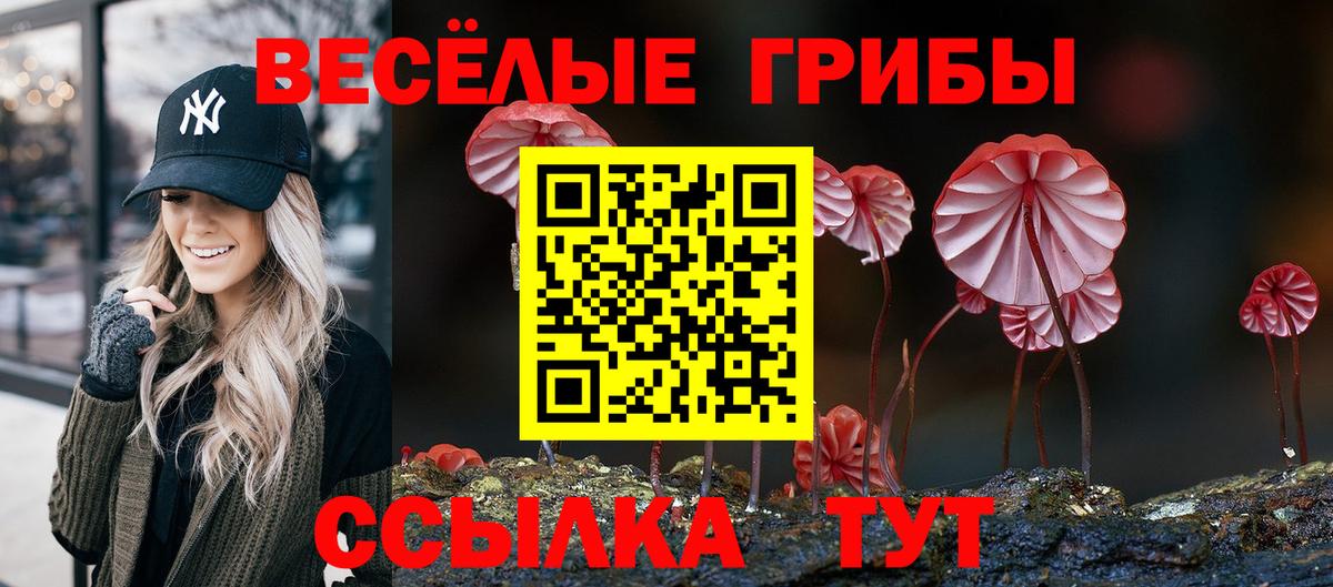 Куйбышев  Галлюциногенные грибы Psilocybe  Псилоцибиновые грибы Cubensis  Вход с VPN 