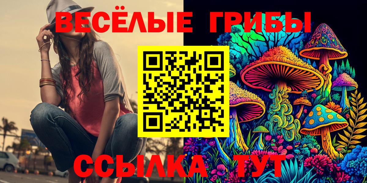 Галлюциногенные грибы Psilocybine cubensis Куйбышев